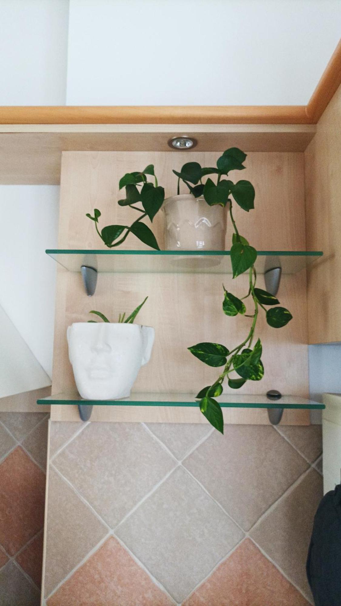 בודפשט Hb Downtown Sunny Apartman מראה חיצוני תמונה